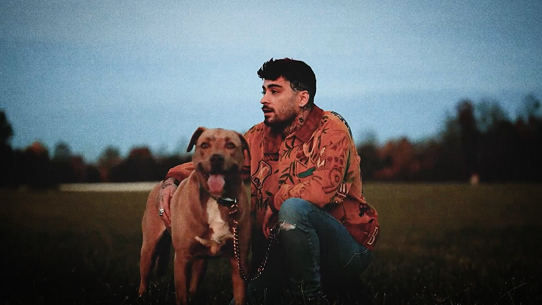 Zayn Unveils New Album Teaser, Sparking Fans Excitement