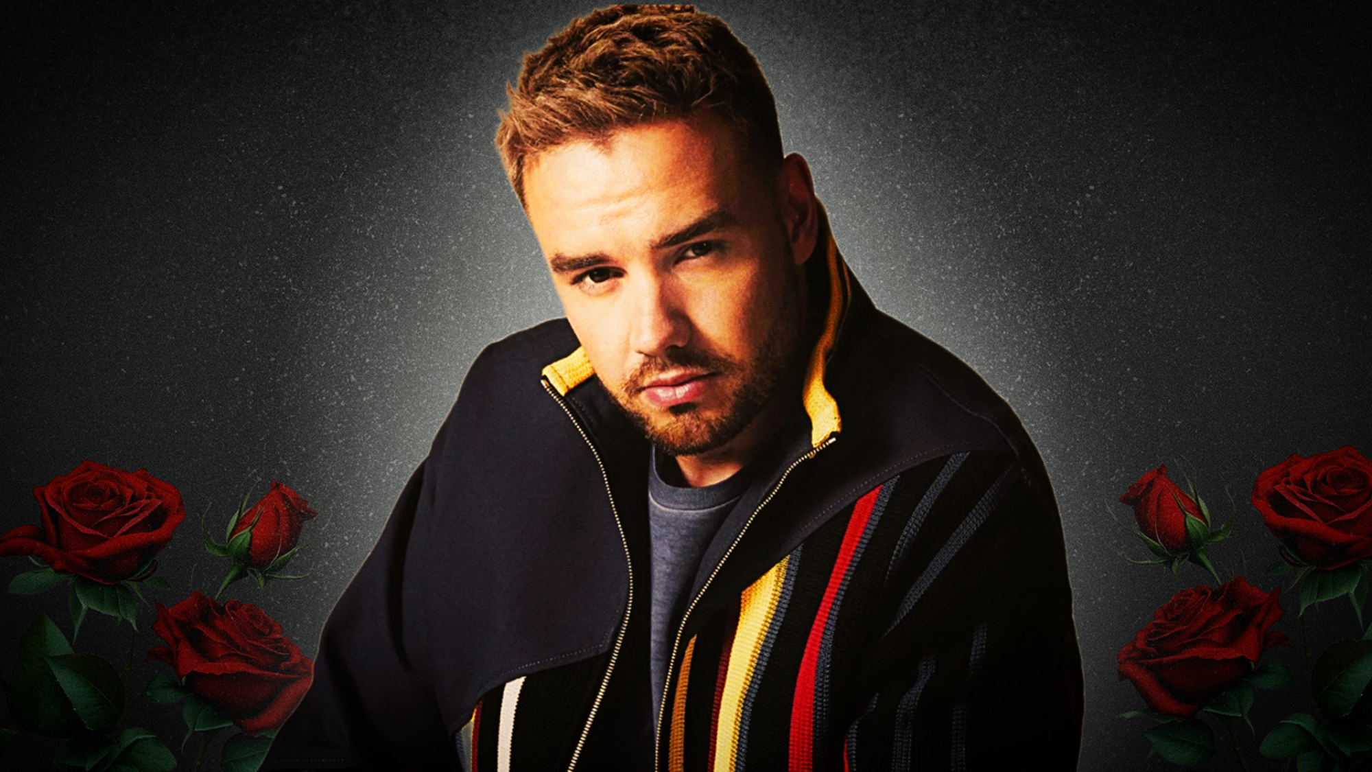 Liam Payne: The Journey, The Music, The Legacy