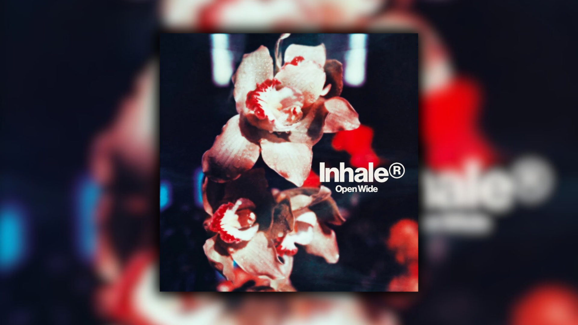 Inhaler’s ’Open Wide’: The Best Songs, Ranked