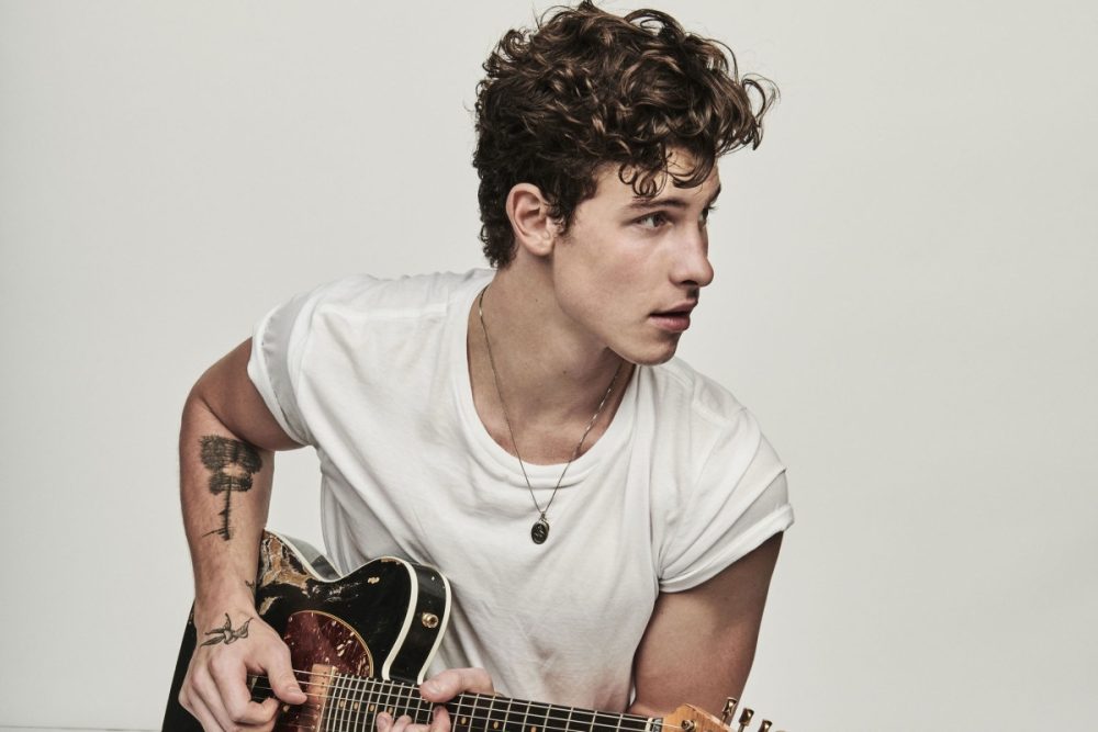Shawn Mendes Takes Over Lollapalooza Argentina: Here’s the Setlist