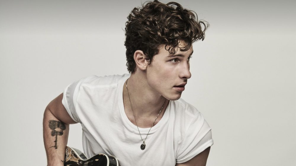 Here’s What Shawn Mendes Performed at Sunny Hill Festival