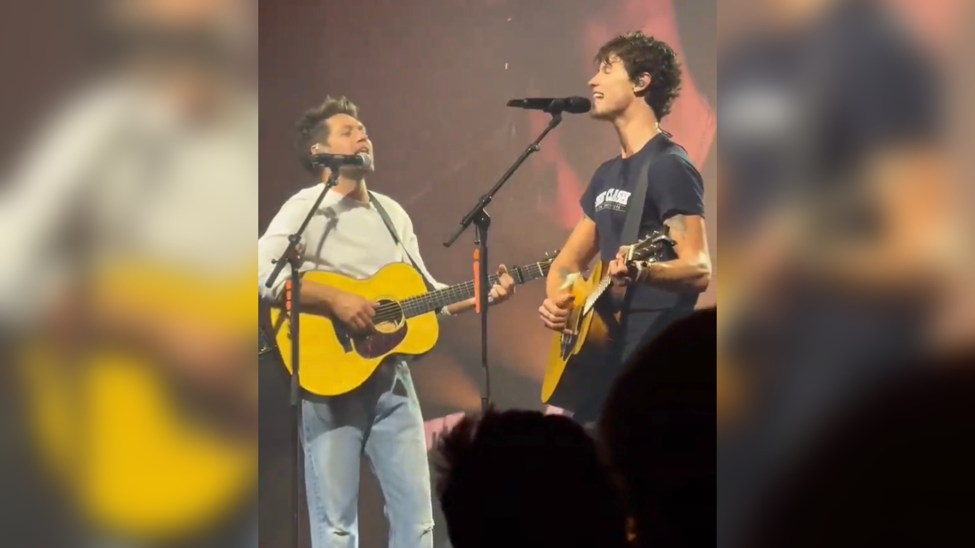 Shawn Mendes Brings Out Niall Horan for Surprise Duet at London O2 Arena